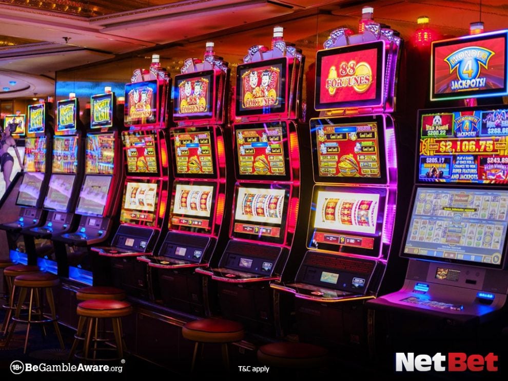 boipg - Cassino Oficial Bet