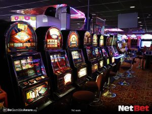 boipg - Jogos Oficial Bet
